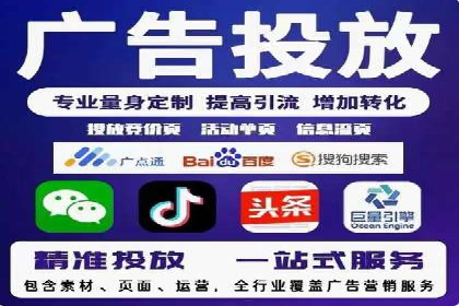 搜索引擎优化（SEO）与竞价广告（SEM）的对比案例